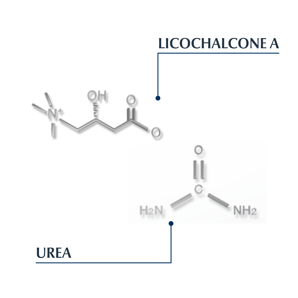 Eucerin DermoCapillaire Kalmerende Urea Behandelende Verzorging 100ml